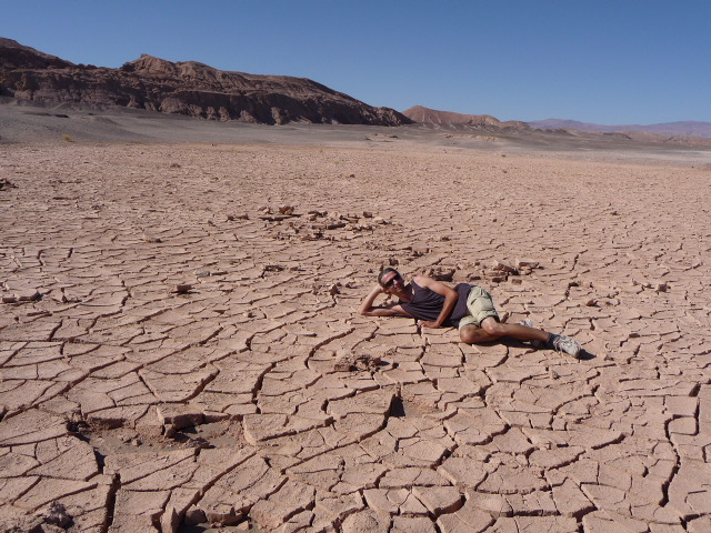 der Wuestenschoenling